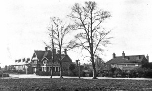 William IV 1905 viewed from the Green 