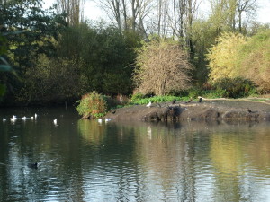 DSC00238