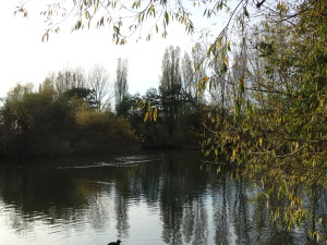 DSC00259